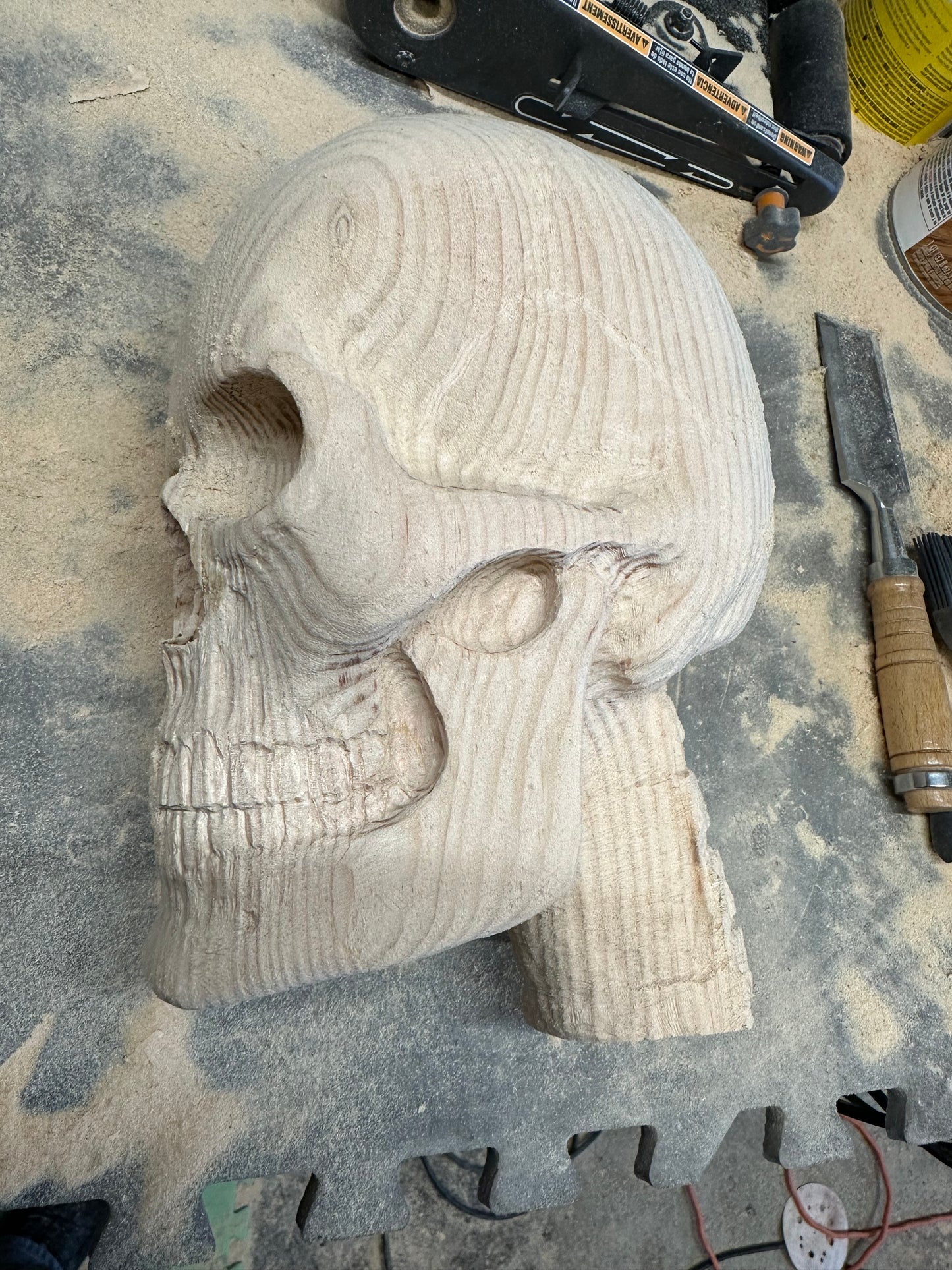 Wooden Skull (Pine-skull)
