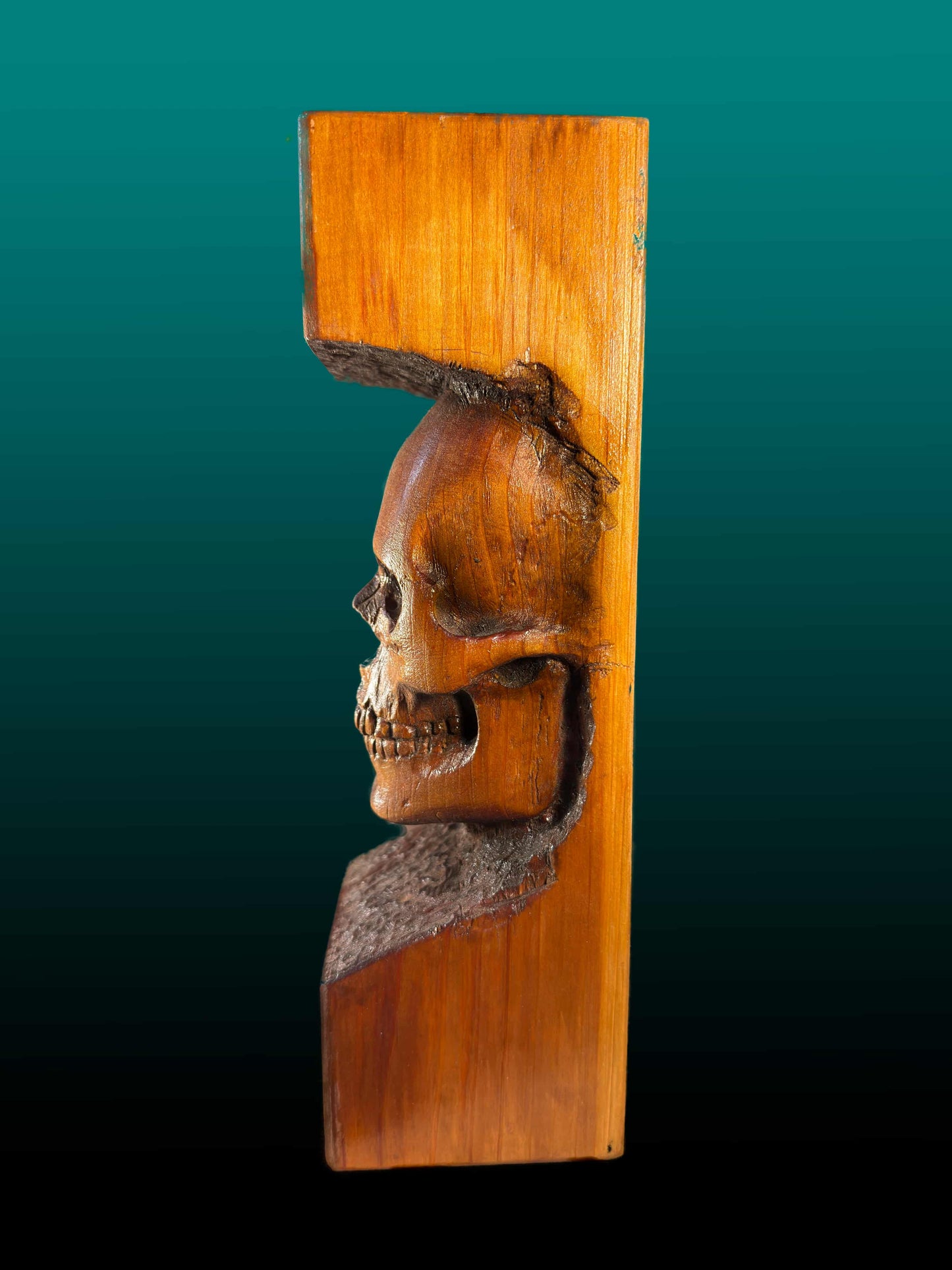Skull Wall Sconce